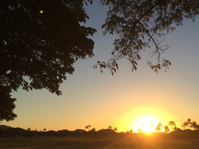 もう一つのサンクスギビングディ